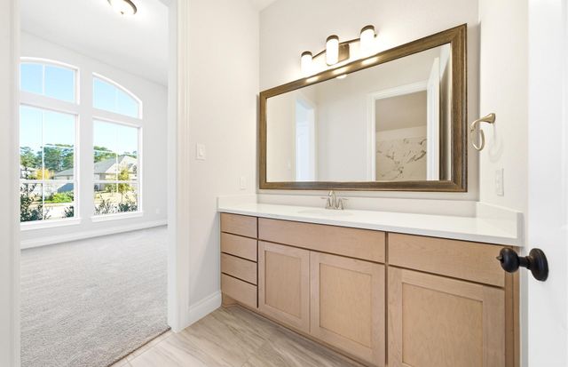 15724 Dandelion Dreams Street, Conroe, TX 77302