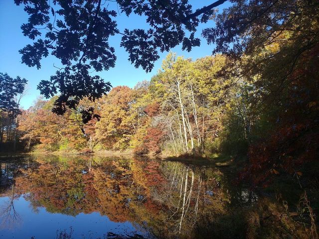 2651 New Century Boulevard S, Maplewood, MN 55119