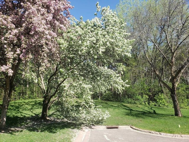 2651 New Century Boulevard S, Maplewood, MN 55119