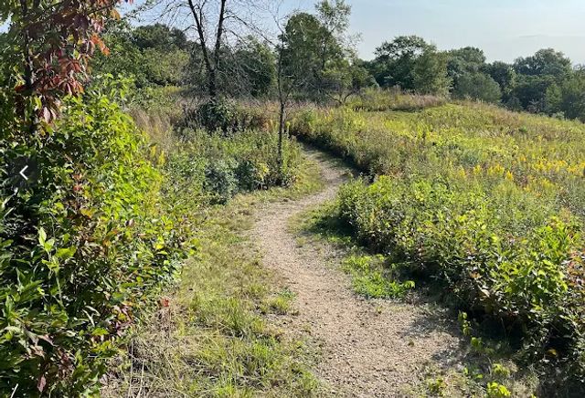 2651 New Century Boulevard S, Maplewood, MN 55119