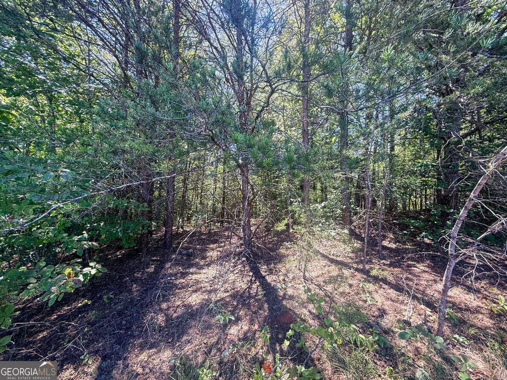LOT 21 Sunshine Ridge Drive, Toccoa, GA 30577 — photo 2