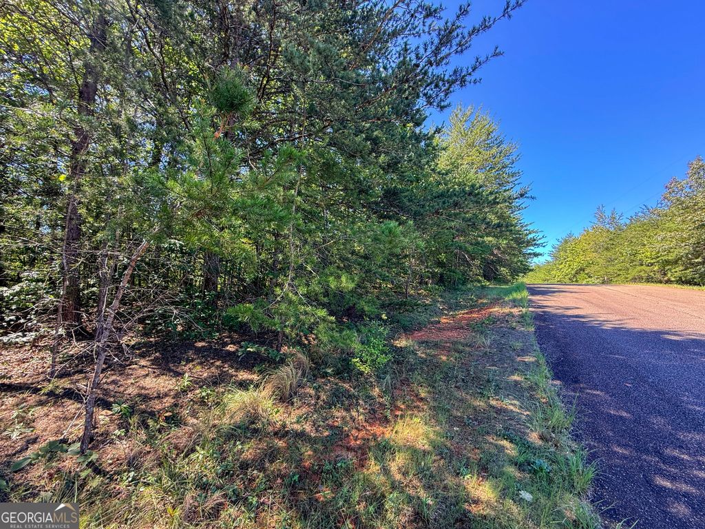 LOT 21 Sunshine Ridge Drive, Toccoa, GA 30577 — photo 3