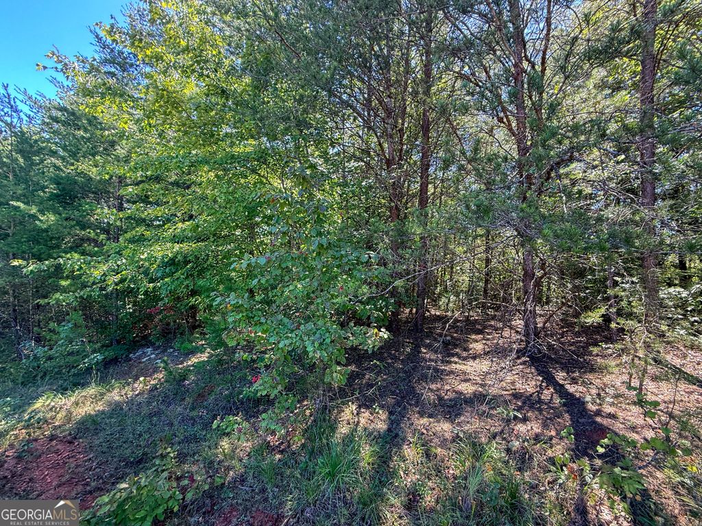 LOT 21 Sunshine Ridge Drive, Toccoa, GA 30577 — photo 4