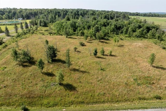 Murray Hill Road, Colden, NY 14033