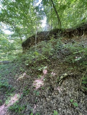 2525 E CLAYS FORK RD, Columbia, MO 65202