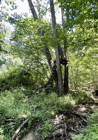 2525 E CLAYS FORK RD, Columbia, MO 65202
