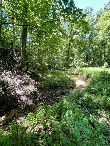 2525 E CLAYS FORK RD, Columbia, MO 65202