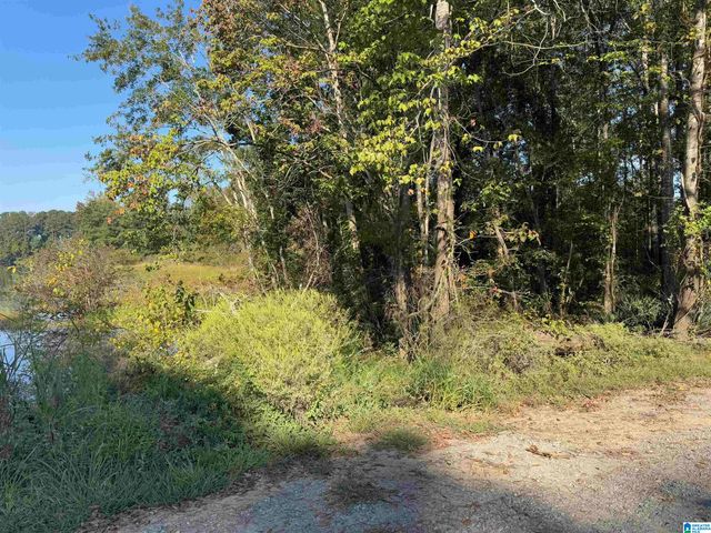 264 STINES LANE, Lincoln, AL 35096