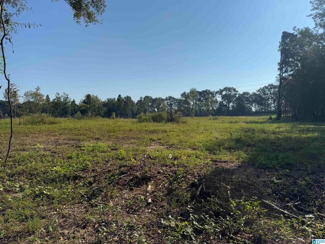 264 STINES LANE, Lincoln, AL 35096