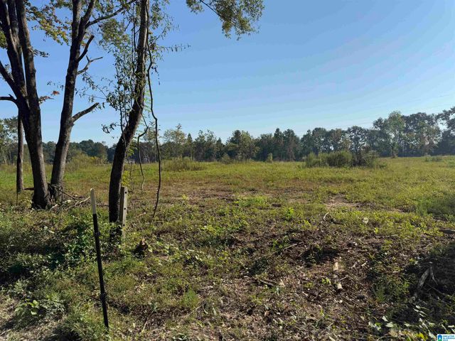 264 STINES LANE, Lincoln, AL 35096