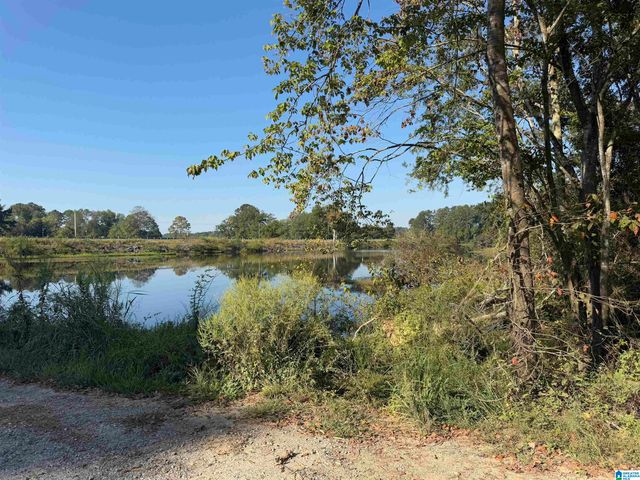 264 STINES LANE, Lincoln, AL 35096