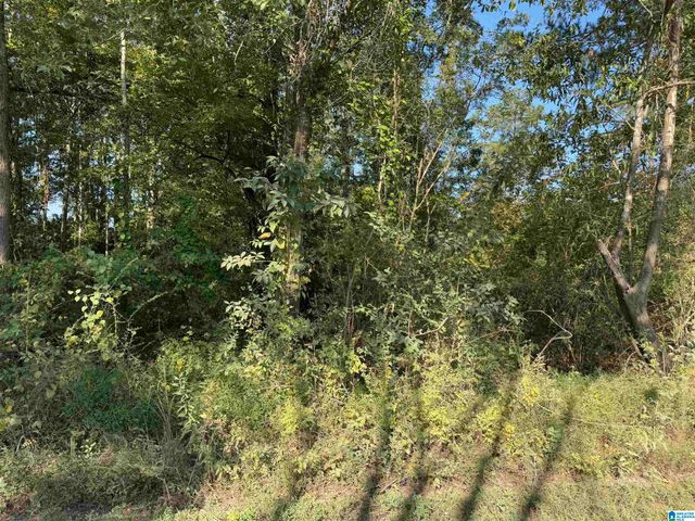 264 STINES LANE, Lincoln, AL 35096