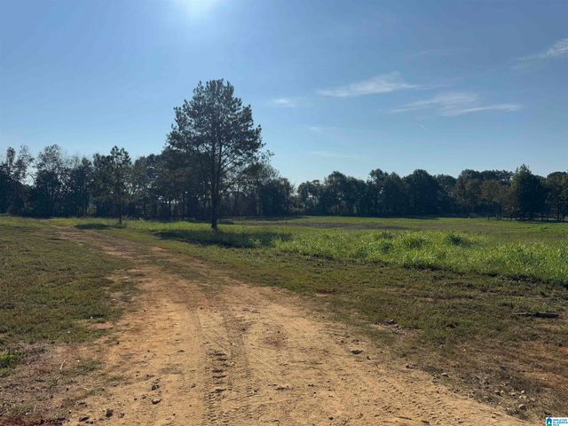 264 STINES LANE, Lincoln, AL 35096