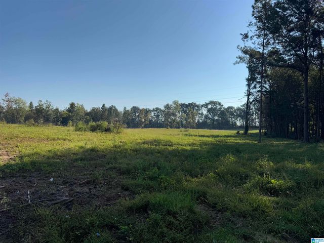 264 STINES LANE, Lincoln, AL 35096