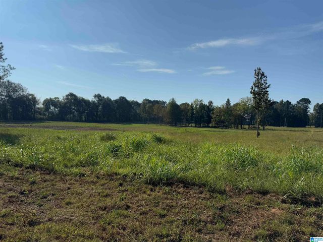 264 STINES LANE, Lincoln, AL 35096