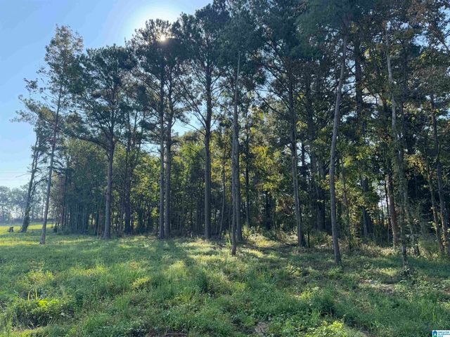 264 STINES LANE, Lincoln, AL 35096