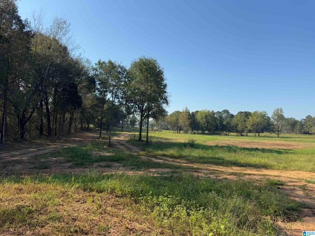 264 STINES LANE, Lincoln, AL 35096