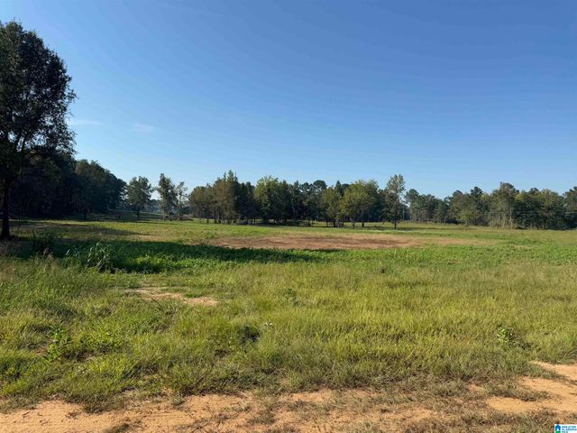 264 STINES LANE, Lincoln, AL 35096