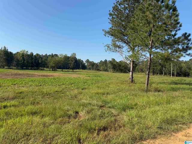 264 STINES LANE, Lincoln, AL 35096