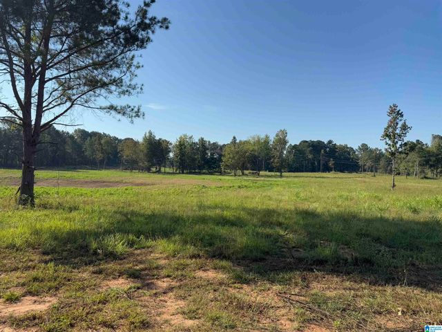 264 STINES LANE, Lincoln, AL 35096