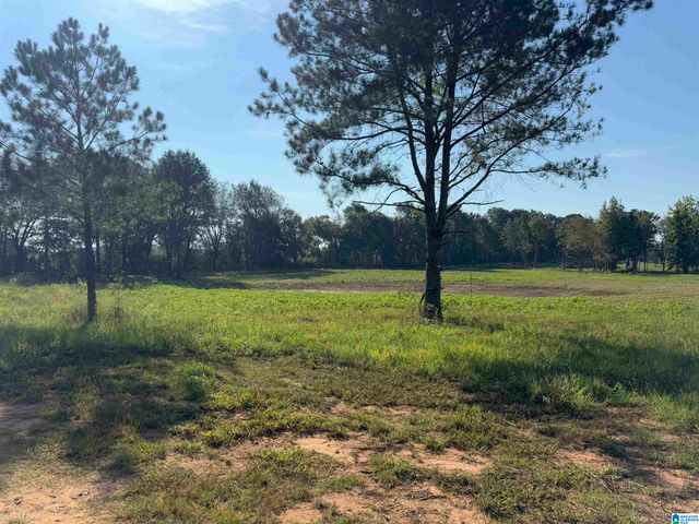 264 STINES LANE, Lincoln, AL 35096