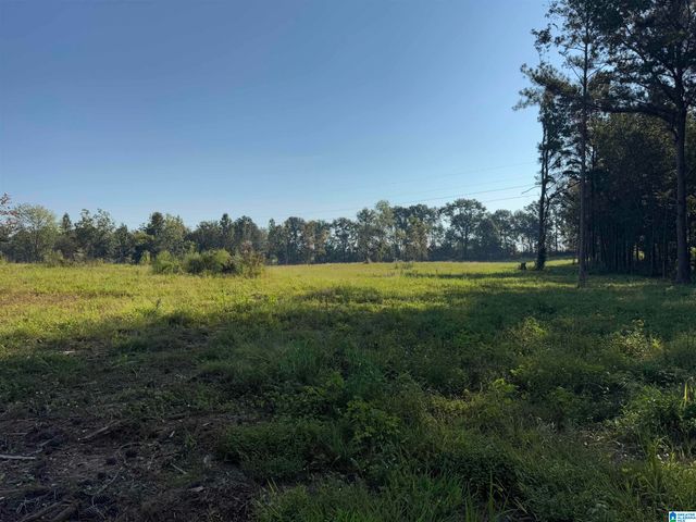 264 STINES LANE, Lincoln, AL 35096