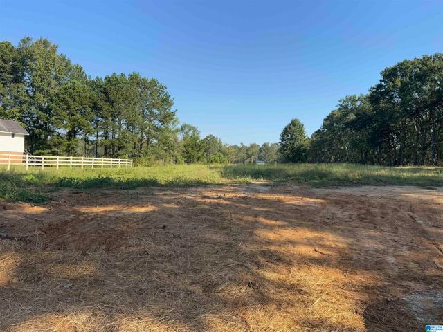 264 STINES LANE, Lincoln, AL 35096