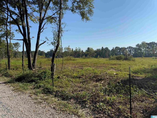 264 STINES LANE, Lincoln, AL 35096