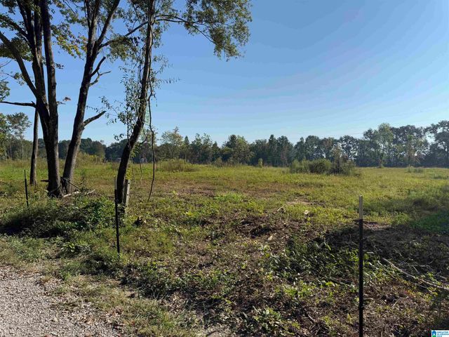 264 STINES LANE, Lincoln, AL 35096