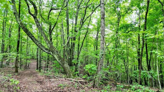 Trt A Cascade Drive, Jasper, GA 30143