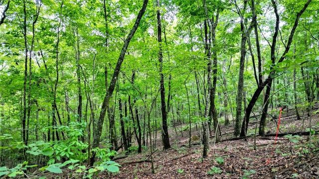 Trt A Cascade Drive, Jasper, GA 30143