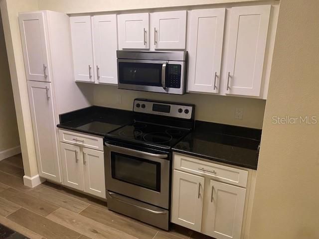 1810 E PALM AVENUE 1101, Tampa, FL 33605