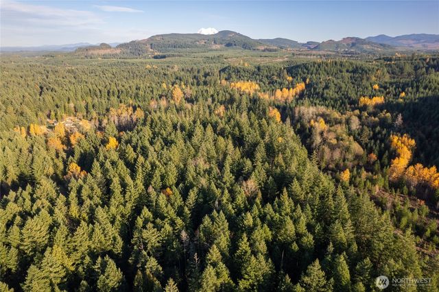 0 Bald Hills Road, Yelm, WA 98597