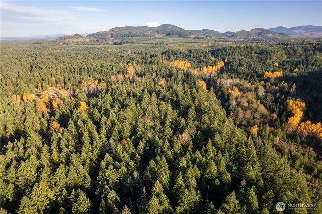 0 Bald Hills Road, Yelm, WA 98597