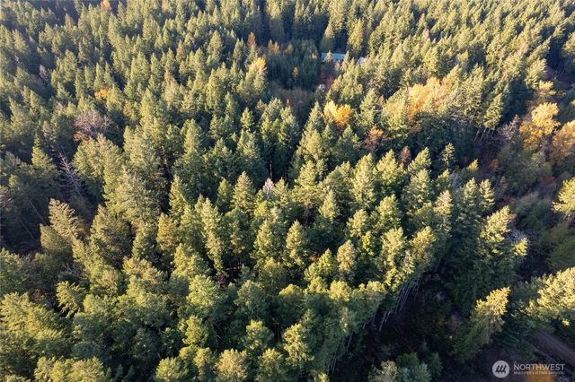 0 Bald Hills Road, Yelm, WA 98597