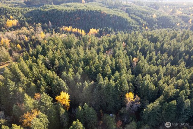 0 Bald Hills Road, Yelm, WA 98597