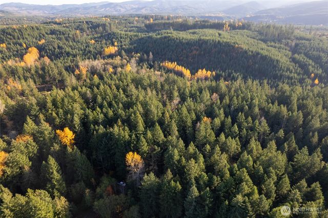 0 Bald Hills Road, Yelm, WA 98597