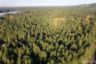0 Bald Hills Road, Yelm, WA 98597