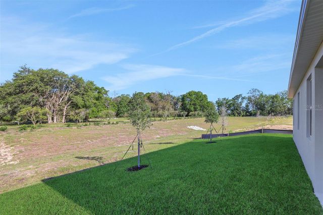 2920 SUPERMARINE ROAD, Tavares, FL 32778