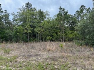 4601 N Baywood Drive, Beverly Hills, FL 34465