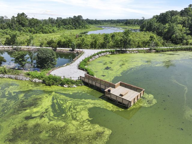 407 Tulip Poplar Drive, Moncks Corner, SC 29461