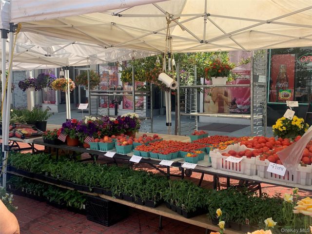 300 Martine Ave 3L, White Plains, NY 10601