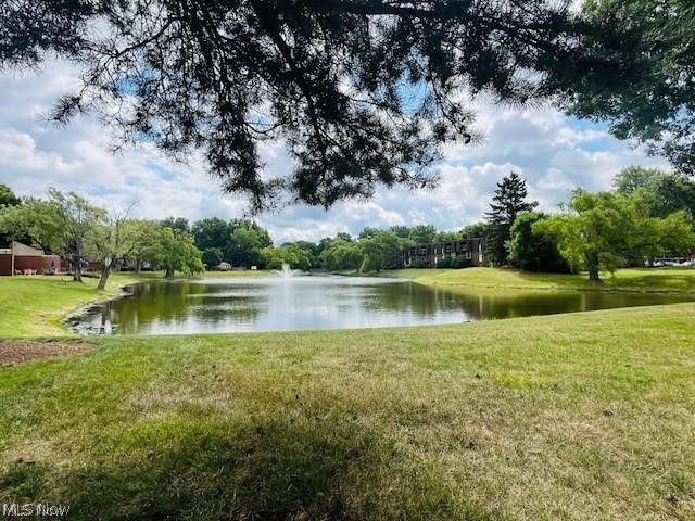 9552 Fernwood Drive, Olmsted Falls, OH 44138