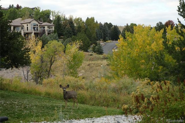 16113 Canyon Wren Way, Morrison, CO 80465