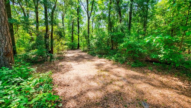328 Sandy Springs Circle, Walterboro, SC 29488