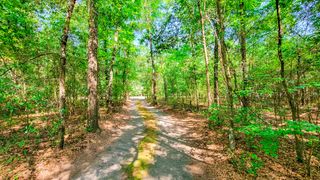 328 Sandy Springs Circle, Walterboro, SC 29488