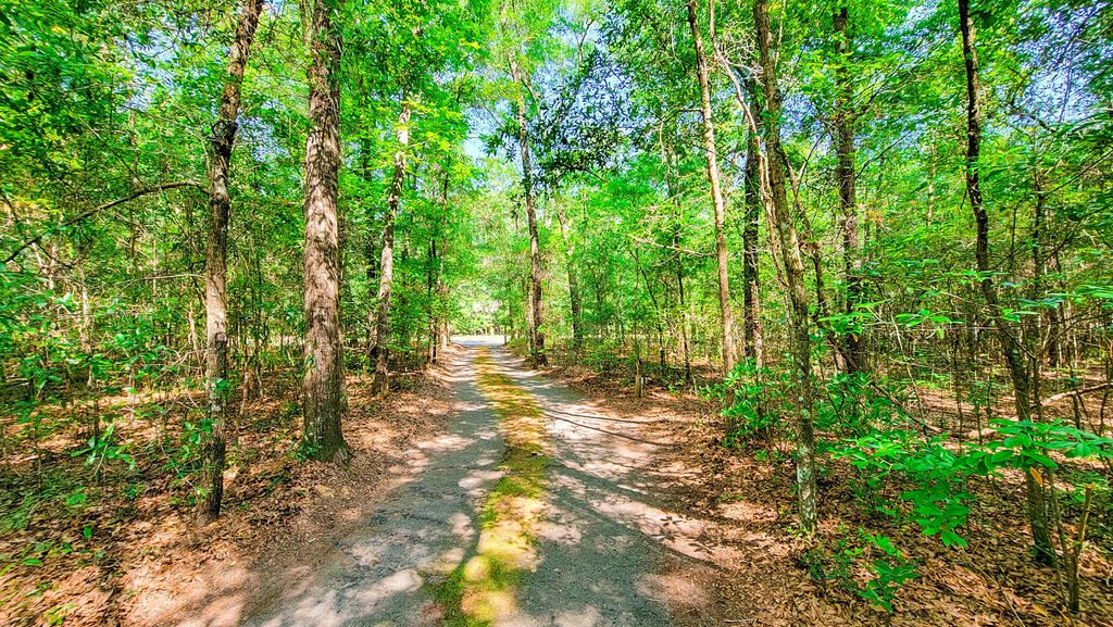 328 Sandy Springs Circle, Walterboro, SC 29488