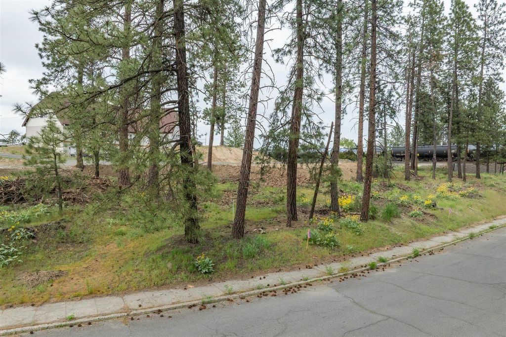 2832 W 13th Ave, Spokane, WA 99224 photo 20