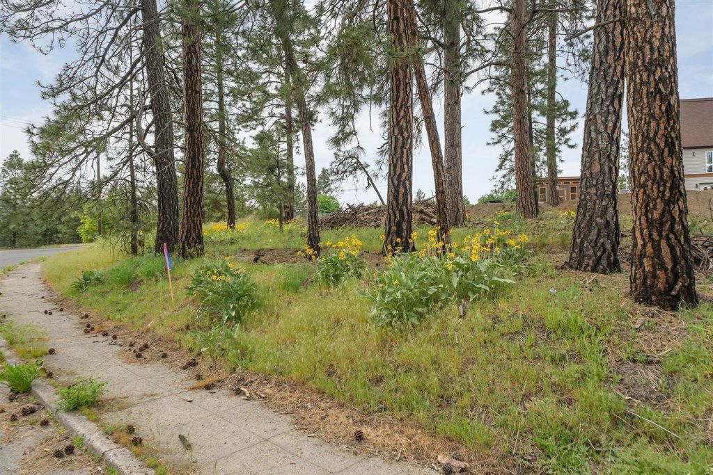 2832 W 13th Ave, Spokane, WA 99224 photo 10