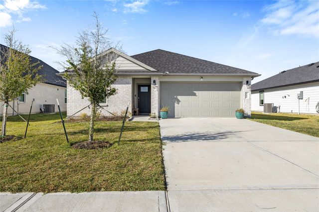 115 Alder Loop, Anahuac, TX 77514